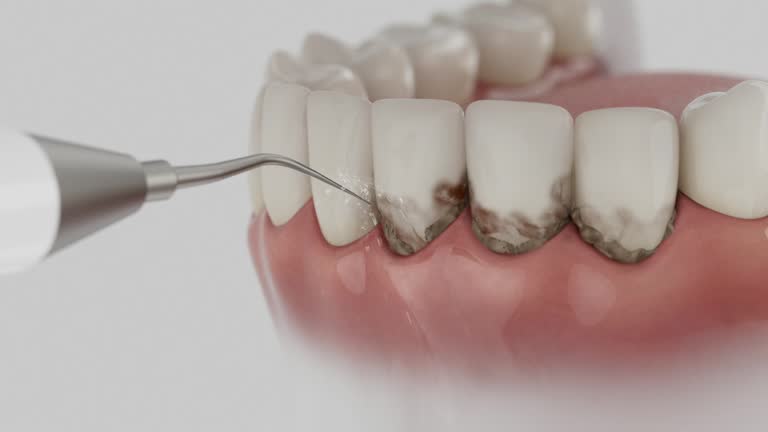 Reliable Dental contractor in Norfolk, VA by Dentist Open Now
